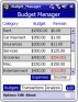 Budget Manager (WM)
