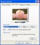 Tulip Bulbs Screensaver