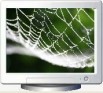 Spider Webs Screen Saver